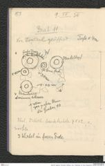 Seite 69, Tagebuch "Dürnstein | Wöbling - neol. | Höbenbach | Kl. Rust | Noppendorf" (NHMW-PRAE-BBB-45)